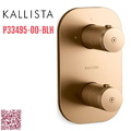 Bộ điều khiển nhiệt độ âm tường – 2 lối ra màu đồng Kallista P33495-00-BLH