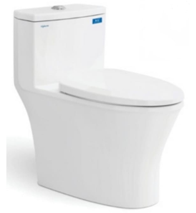 Bồn cầu 1 khối nắp rơi êm Viglacera V803