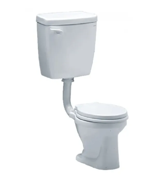 Bồn cầu 2 khối trẻ em xả gạt nắp êm Caesar CT1026