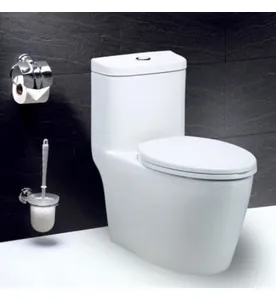Bồn cầu 1 khối xả nhấn đôi nắp êm Caesar C1375 (C1375C-PW)