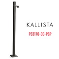 Vòi chậu rửa mặt đơn đặt sàn màu đen Kallista P33170-00-PGP