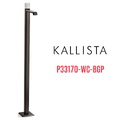 Vòi chậu rửa mặt đơn đặt sàn - đá trắng màu đen Kallista P33170-WC-BGP