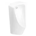 Tiểu nam treo tường American Standard WP-6509B (xả âm)