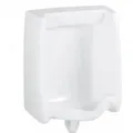 Tiểu nam treo tường American Standard WP-6591