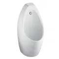 Bồn tiểu nam treo tường Contour American Standard 6737B-AWT (xả âm)