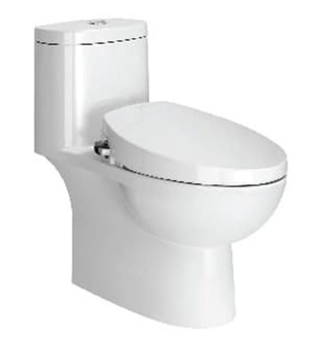 Bàn cầu một khối nắp cơ American Standard VF-2024S