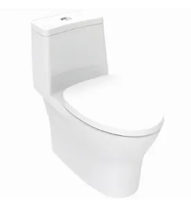 Bàn cầu 1 khối nắp êm Flexio American Standard VF-2530 (2530-WT) xả thẳng