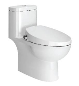 Bàn cầu một khối nắp cơ American Standard VF-2024S