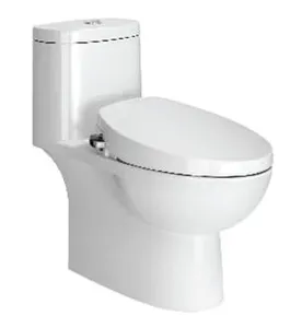 Bàn cầu một khối nắp cơ American Standard VF-2024S