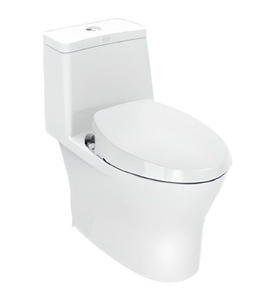 Bàn cầu một khối nắp cơ American Standard VF-2530S