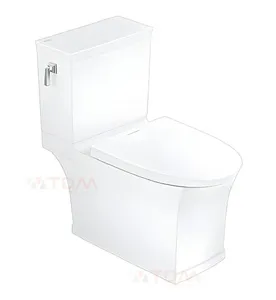 Bàn cầu 2 khối nắp êm xả gạt American Standard VF-2781