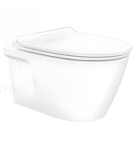 Bàn cầu treo tường American Standard VF-3119E (đầy đủ nắp phụ kiện)