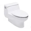 Bàn cầu liền 1 khối nắp êm IDS Natural American Standard 2050-WT xả gạt