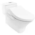 Bàn cầu một khối nắp điện tử American Standard WP-2009PL