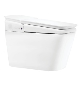 Bồn cầu điện tử thông minh American Standard KP-8312 PLAT