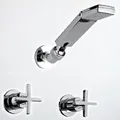 Sen Tắm Nóng Lạnh Âm Tường American Standard WF-5122