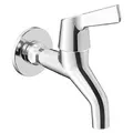 Vòi đơn lạnh gắn tường American Standard WF-T602