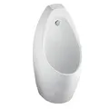 Bồn tiểu nam treo tường Contour American Standard 6737-AWT (xả dương)