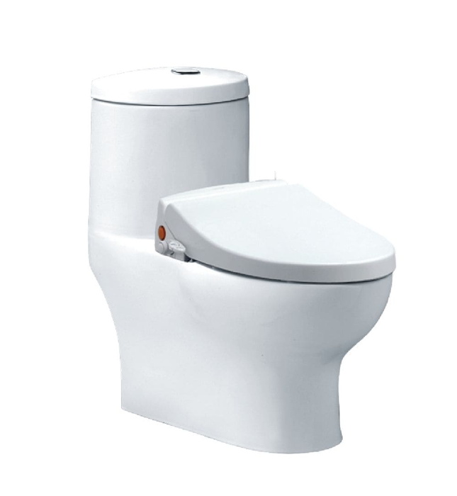 Bồn cầu 1 khối nắp rửa cơ Caesar CD1375/TAF050