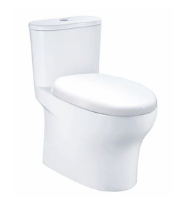 Bồn cầu 1 khối nắp rơi êm Caesar CD1394