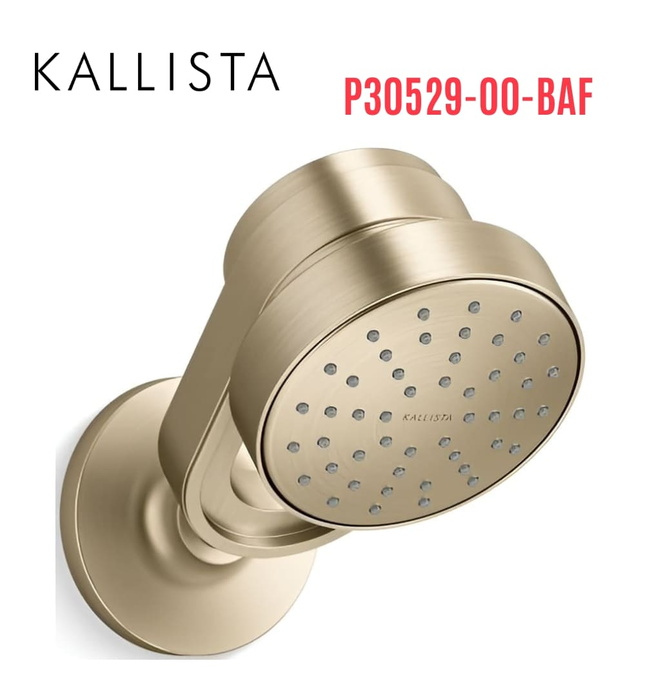 Bát sen kèm tay sen tắm gắn tường màu vàng Kallista P30529-00-BAF