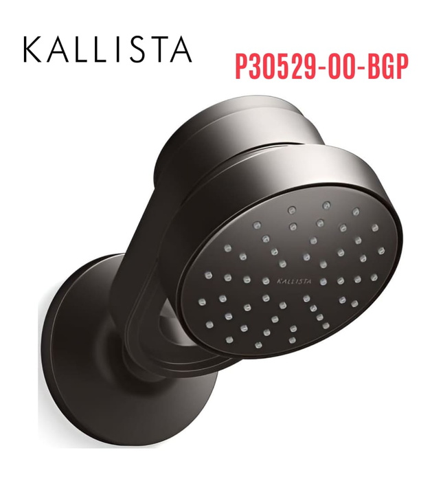 Bát sen kèm tay sen tắm gắn tường màu đen Kallista P30529-00-BGP