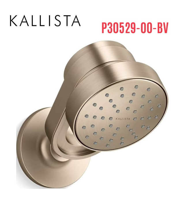 Bát sen kèm tay sen tắm gắn tường màu đồng Kallista P30529-00-BV