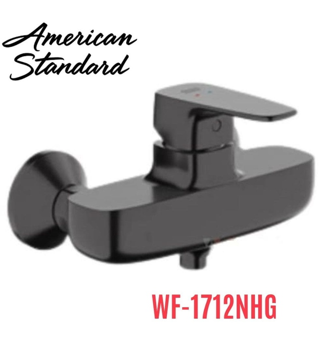 Vòi sen tắm màu xám bóng American Standard WF-1712NHG