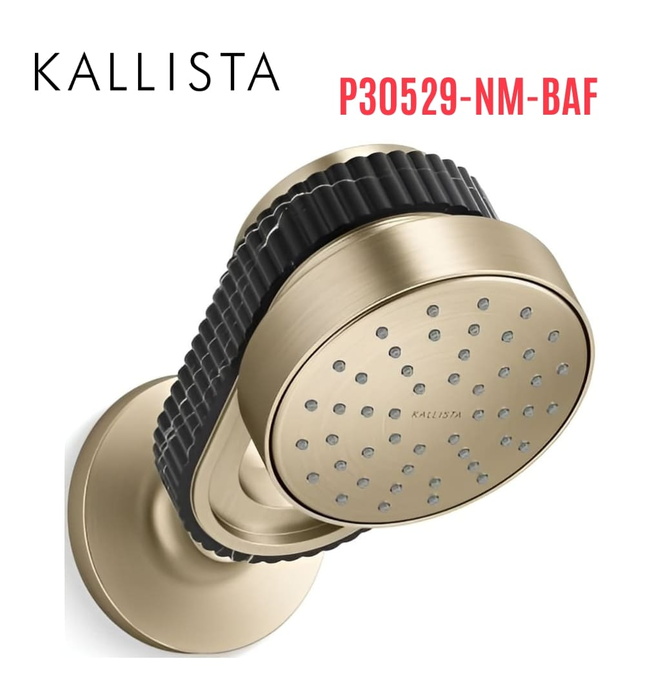 Bát sen kèm tay sen gắn tường - đá đen màu vàng Kallista P30529-NM-BAF