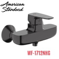 Vòi sen tắm màu xám bóng American Standard WF-1712NHG