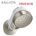 Bát sen kèm tay sen gắn tường - đá trắng màu nickel Kallista P30529-WC-BN