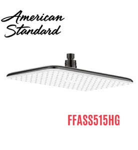 Bát sen 300mm American Standard FFASS515HG màu xám đen