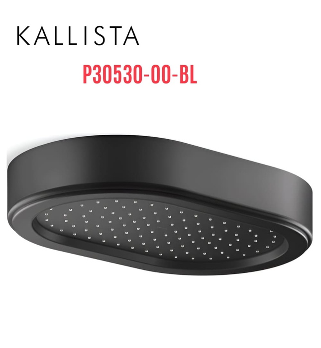 Đầu vòi sen mưa gắn trần màu đen Kallista P30530-00-BL