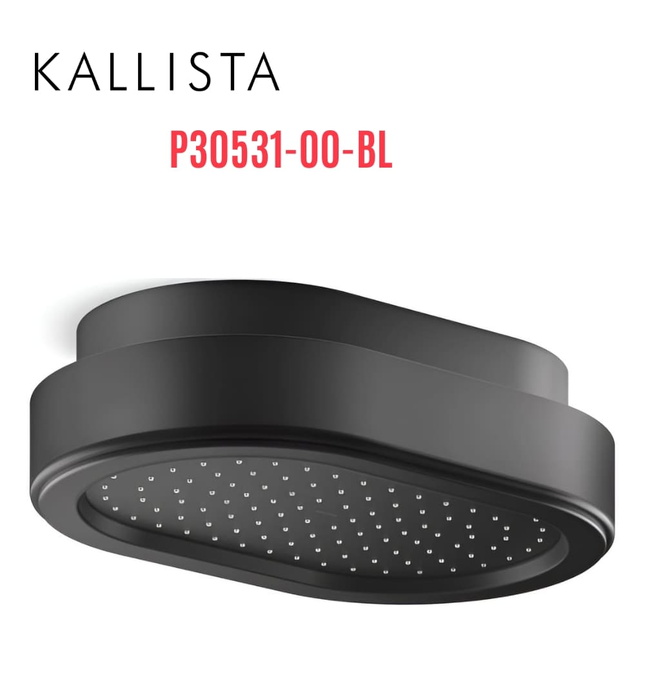 Giá treo bát sen gắn trần màu đen Kallista P30531-00-BL