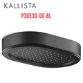 Đầu vòi sen mưa gắn trần màu đen Kallista P30530-00-BL