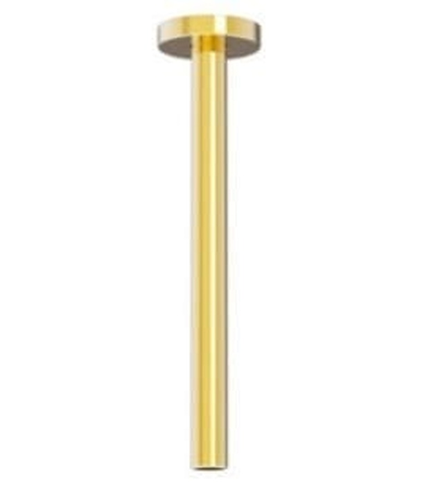 Thanh Nối Đầu Sen Màu Vàng Bóng American Standard FFAS9908CS 