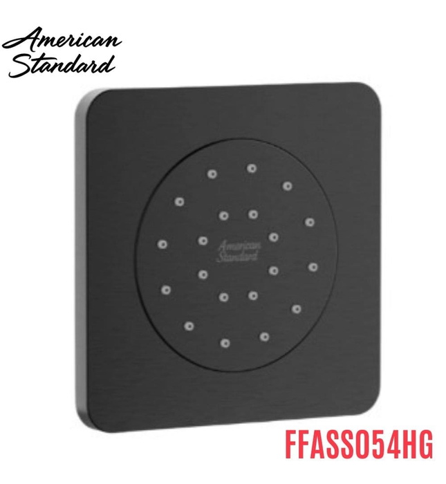 Đầu Sen Âm Tường Màu Xám Bóng American Standard FFASS054HG 