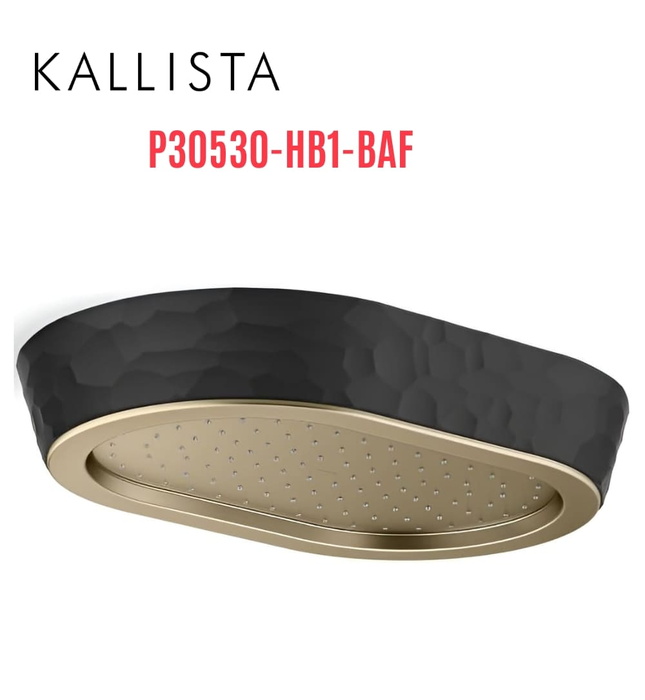 Đầu vòi sen mưa gắn trần viền đen màu vàng Kallista P30530-HB1-BAF