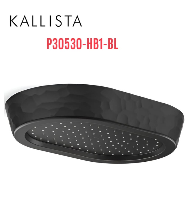Đầu vòi sen mưa gắn trần viền đen màu đen Kallista P30530-HB1-BL