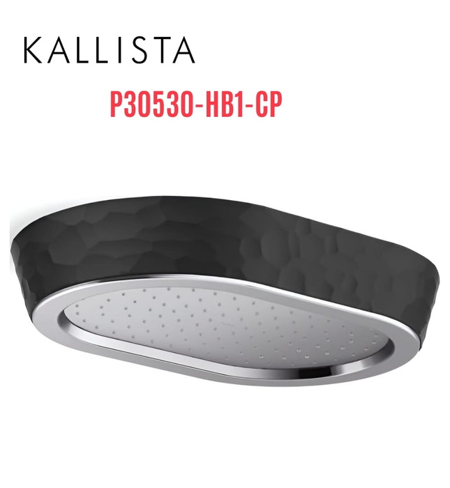 Đầu vòi sen mưa gắn trần viền đen màu chrome Kallista P30530-HB1-CP