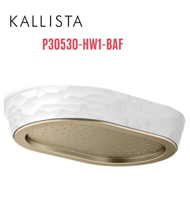 Đầu vòi sen mưa gắn trần viền trắng màu vàng Kallista P30530-HW1-BAF