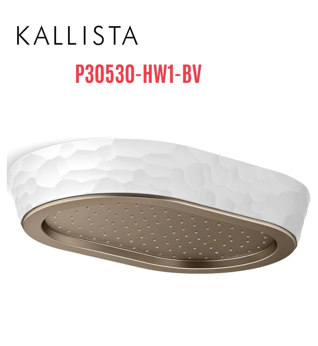 Đầu vòi sen mưa gắn trần viền trắng màu đồng Kallista P30530-HW1-BV