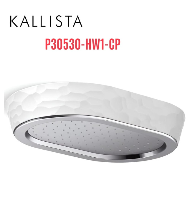 Đầu vòi sen mưa gắn trần viền trắng màu chrome Kallista P30530-HW1-CP