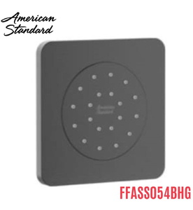 Đầu Sen Âm Tường Màu Xám Xước American Standard FFASS054BHG 