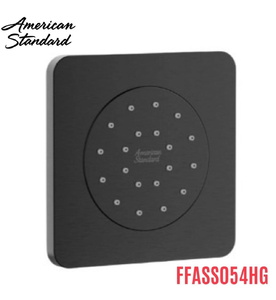 Đầu Sen Âm Tường Màu Xám Bóng American Standard FFASS054HG 