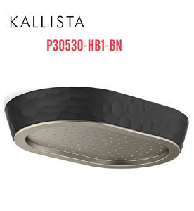 Đầu vòi sen mưa gắn trần viền đen màu nickel Kallista P30530-HB1-BN