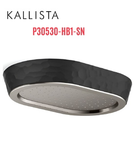 Đầu vòi sen mưa gắn trần viền đen màu nickel Kallista P30530-HB1-SN