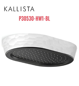 Đầu vòi sen mưa gắn trần viền trắng màu đen Kallista P30530-HW1-BL