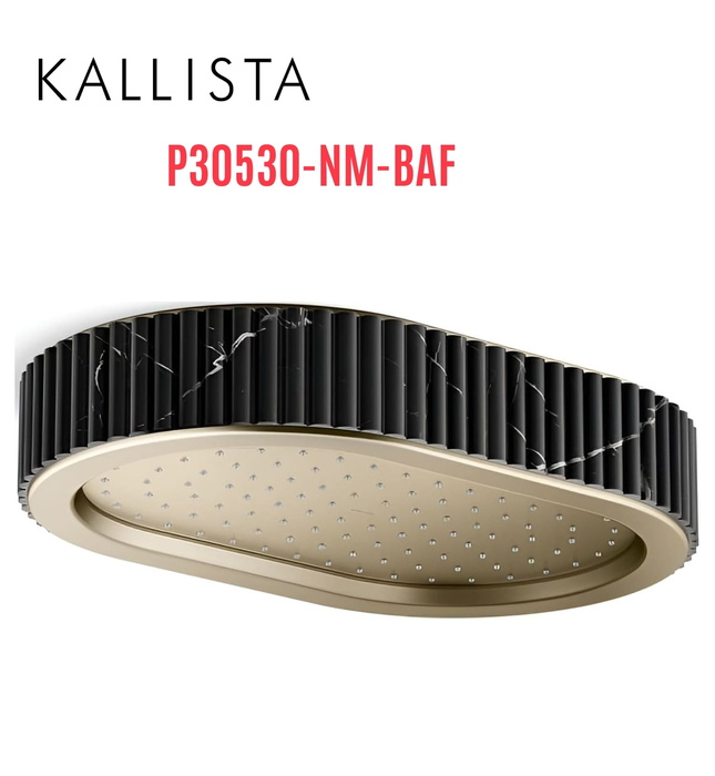 Đầu vòi sen mưa gắn trần viền đá đen màu vàng Kallista P30530-NM-BAF