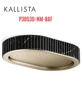 Đầu vòi sen mưa gắn trần viền đá đen màu vàng Kallista P30530-NM-BAF
